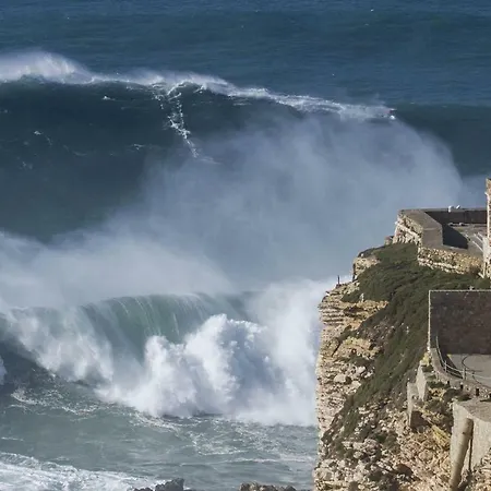 Estudio - Nazare